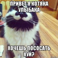 привет я котяка улыбака хочешь пососать хуй?