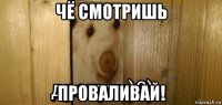 чё смотришь проваливай!