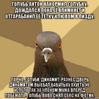 голубь антон накормил голубку, дождался пока её впимкнет и оттарабанил её тётку клювом в пизду. порно. голуби. динамит. разнес дверь динамитом выебал бабульку охуеть не успела так за членом мужа вперёд побежала. голубь вова снял секс на фотик.