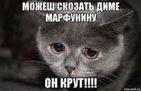 можеш скозать диме марфунину он крут!!!!