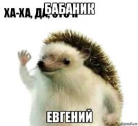 бабаник евгений