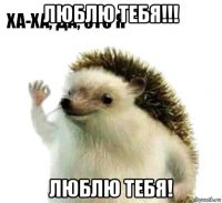 люблю тебя!!! люблю тебя!