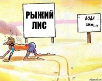 Рыжий лис