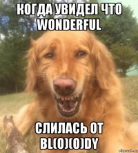 когда увидел что wonderful слилась от bl(o)(o)dy