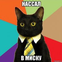 нассал в миску