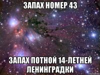 запах номер 43 запах потной 14-летней ленинградки