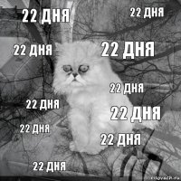 22 дня 22 дня 22 дня 22 дня 22 дня 22 дня 22 дня 22 дня 22 дня 22 дня