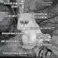 ручной обменник, блин деньги уже списались... на карту не поступили... техподдержка молчит... плакали мои денежки... надо было на QuickChange... срочно деньги нужны... когда же уже??? уже неделю жду... не в деньгах счастье