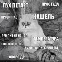 Пух летает Температура Кашель Скоро ДР Ремонт не начал Простуда Нужно купить билеты Проект гавно Только вторник 