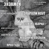 Экзамен танька не дает поиграть забрали ноут Простуда Мама сказала а нука иди сюда вход от наушников сломался Ягодки не поспели речка холодная завтра в школу Завтра уборка