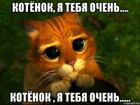 котёнок, я тебя очень.... котёнок , я тебя очень.....