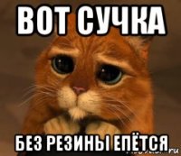 вот сучка без резины епётся