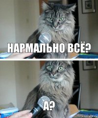 нармально всё? а?