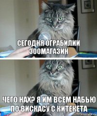 Сегодня ограбилии зоомагазин Чего нах? я им всем набью по Вискасу с китекета