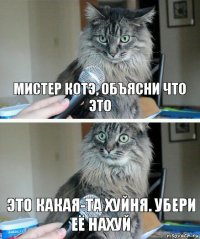 мистер котэ, объясни что это это какая-та хуйня. убери её нахуй