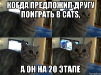 когда предложил другу поиграть в cats, а он на 20 этапе