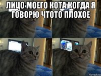 лицо моего кота когда я говорю чтото плохое 