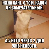 жена сане, о том, какой он замечательный, а у него через 2 дня уже невеста.