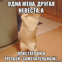 одна жена, другая невеста, а пристаёт он к третьей."замечательный".