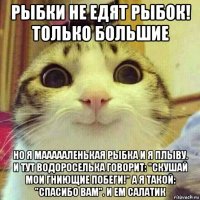 рыбки не едят рыбок! только большие но я маааааленькая рыбка и я плыву. и тут водороселька говорит: "скушай мои гниющие побеги!" а я такой: "спасибо вам". и ем салатик