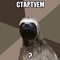 стартуем ?