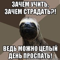 зачем учить, зачем страдать?! ведь можно целый день проспать!