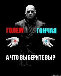 Голем Гончая А что выберите вы?