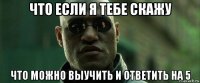 что если я тебе скажу что можно выучить и ответить на 5