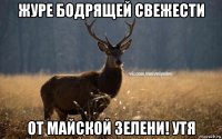 журе бодрящей свежести от майской зелени! утя