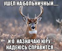 ушел на больничный..... и.о. назначаю юру.... надеюсь справится..,