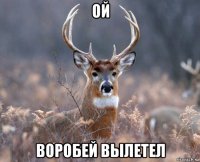 ой воробей вылетел