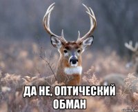  да не, оптический обман