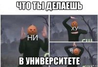 что ты делаешь в университете