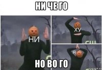 ни че го но во го