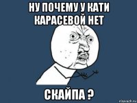 ну почему у кати карасевой нет скайпа ?