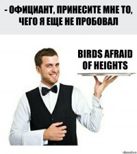 BIRDS AFRAID OF HEIGHTS