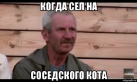 когда сел на соседского кота