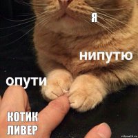 я Котик Ливер