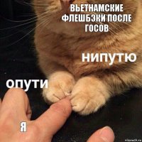 Вьетнамские флешбэки после госов Я