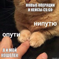 Новые операции и кейсы CS:GO Я и мой кошелёк