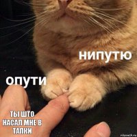  Ты што насал мне в тапки