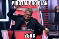 pivotal pro plan 250$