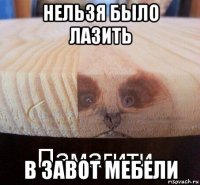 нельзя было лазить в завот мебели