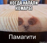 когда напали комары 