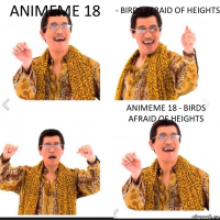 ANIMEME 18 - BIRDS AFRAID OF HEIGHTS ANIMEME 18 - BIRDS AFRAID OF HEIGHTS