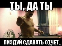 ты, да ты пиздуй сдавать отчет