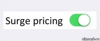  Surge pricing 