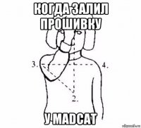 когда залил прошивку у madcat