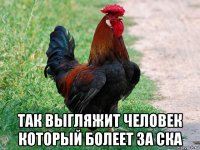  так выгляжит человек который болеет за ска