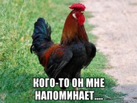  кого-то он мне напоминает....